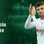 Tiểu sử và sự nghiệp của timo werner